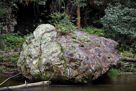 Jewell Branch, South Carolina