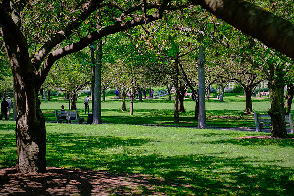 Prospect Park, Brooklyn, New York City