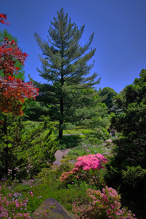 Brooklyn Botanic Garden, Brooklyn, New York City