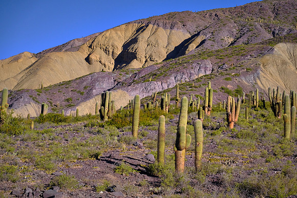 Over the Andes Mountains on the road from San Pedro Atacama, Chile, to Purmamarca, Argentina