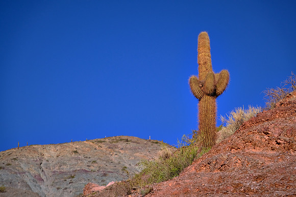 Cerro de los Siete Colores (Hills of Seven Colors), Purmamarca, Argentina