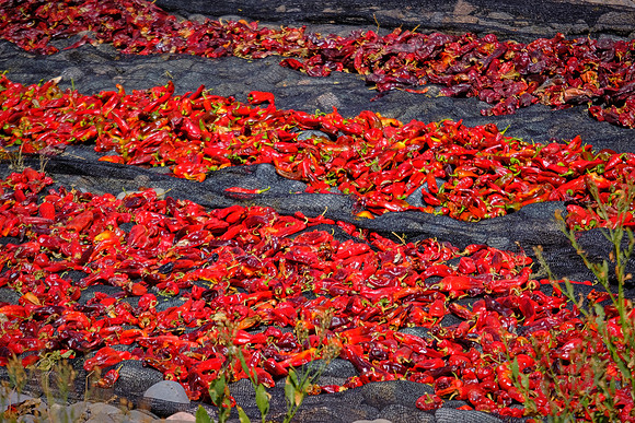 Drying peppers on the road to Cachi, Argentina