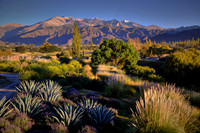 2019 Apl - Atacama Desert, Chile