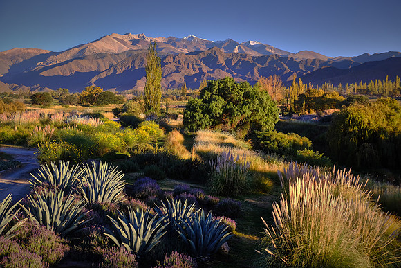 Morning light on the grounds near the Merced del Alto Hotel, Cachi, Argentina