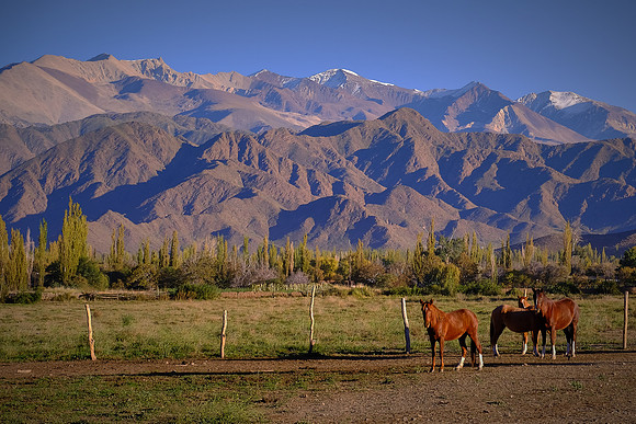 On the grounds near the Merced del Alto Hotel, Cachi, Argentina