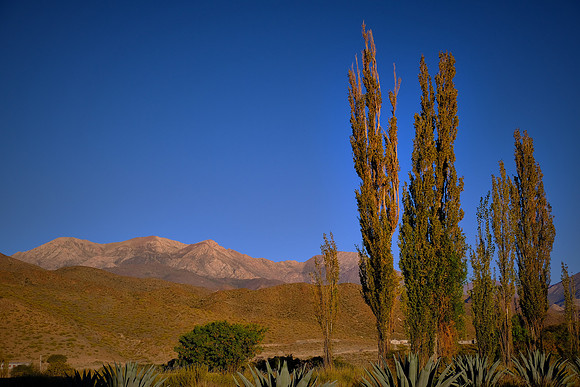On the grounds near the Merced del Alto Hotel, Cachi, Argentina