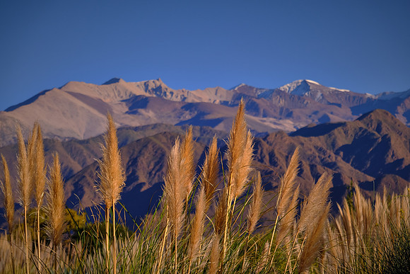 On the grounds near the Merced del Alto Hotel, Cachi, Argentina