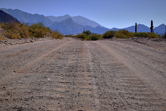 On National Route 40 to Cafayate, Argentina (Route 40 is equilvalent to Route 66 in the U.S. and, at 3,227 miles, one of the longest roads in the world)