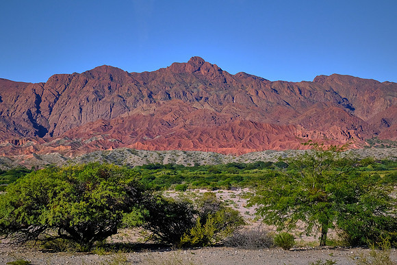 On National Route 40 to Cafayate, Argentina