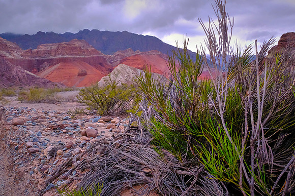 Quebrada de las Conchas (Canyon of the Shells) on the road from Cafayate to Salta, Argentina