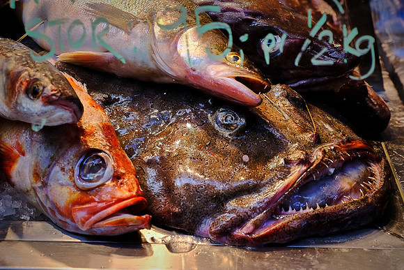 Torvehallerne (high-end food market), Copenhagen, Denmark