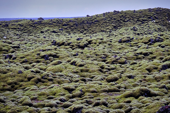 Moss covered Eldhraun lava field (1783-4, 8 months, 232 sq. mi.), Ring Road, Iceland