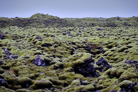 Moss covered Eldhraun lava field (1783-4, 8 months, 232 sq. mi.), Ring Road, Iceland