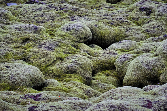 Moss covered Eldhraun lava field (1783-4, 8 months, 232 sq. mi.), Ring Road, Iceland