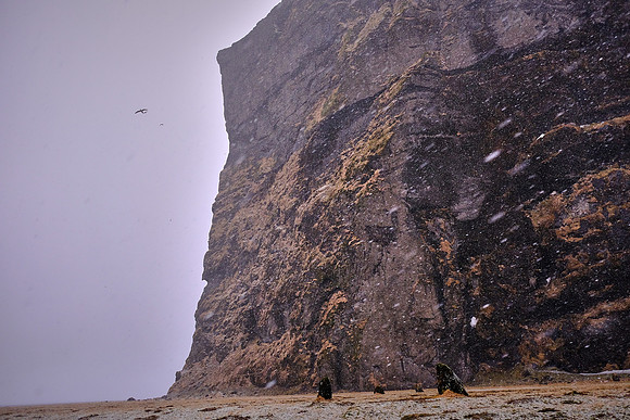 South shore beach tour, Vik, Iceland