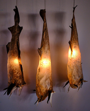 Cod fish lamps ($800 each), Reykjavík, Iceland