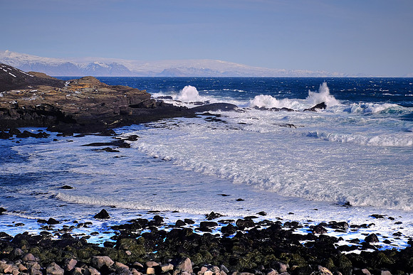Coast of Heimaey, Westman Islands, Iceland