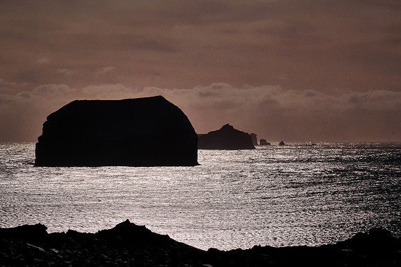 Coast of Heimaey, Westman Islands, Iceland