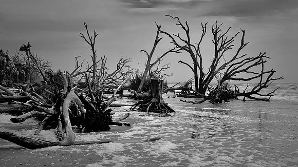 Botany Bay, Edisto Island, SC