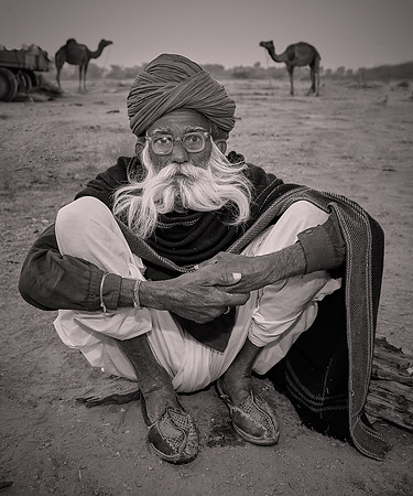 2014 February: Camel Auction, Nagaur, Rajasthan, India