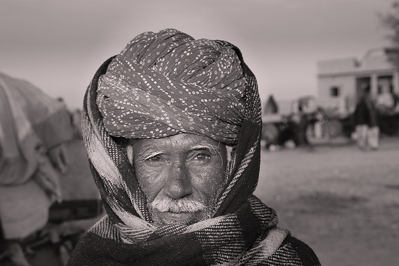 2014 February: Camel Auction, Nagaur, Rajasthan, India