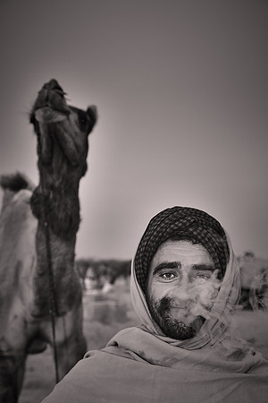 2014 February: Camel Auction, Nagaur, Rajasthan, India