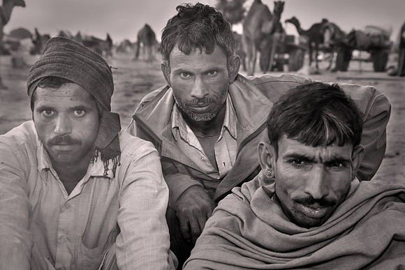 2014 February: Camel Auction, Nagaur, Rajasthan, India