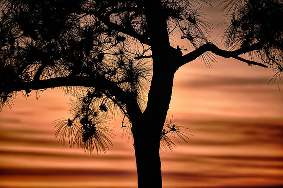 Sunset over Kill Devil Hills, NC