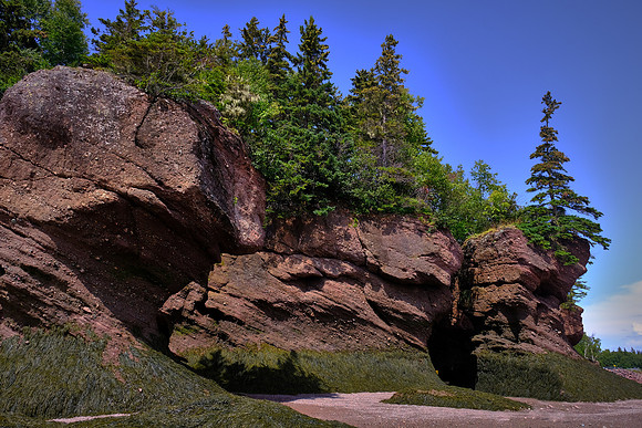 Bay of Fundy (low tide), Flowerpot Rocks at Hopewell Cape, New Brunswick