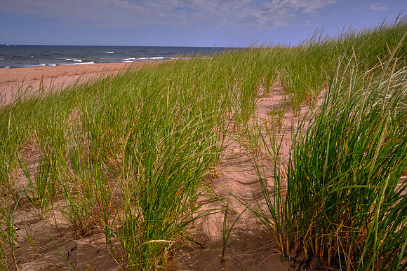 Dunes at Brackley-Dalvay PEI National Park, Prince Edward Island