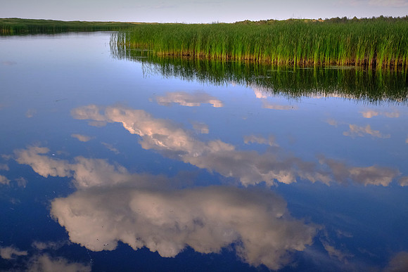 Greenwich PEI National Park, Prince Edward Island