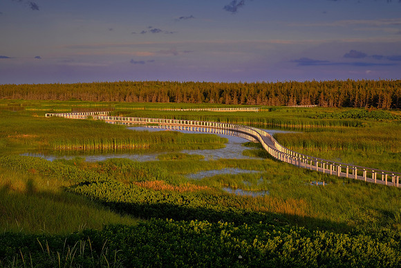 Greenwich PEI National Park, Prince Edward Island