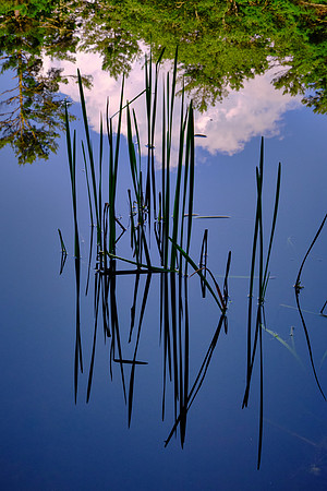 Ravenel Lake, Highlands Biological Station, Highlands, NC