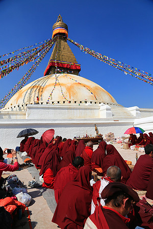 Monks in prayer, Boudhanath Stupa, Kathmandu, Nepal