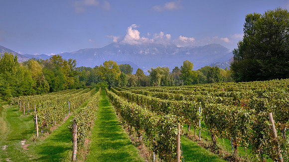 Franciacorta winery, Lake Iseo