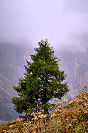 Ladin valley, Dolomites, South Tyrol