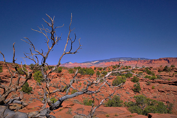 Capitol Reef National Park, UT.  Around Panorama Point, Sunset Point, and the Goosenecks.