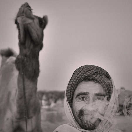 Nagaur Camel Fair, Rajasthan, India
