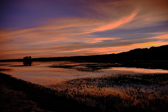 Sunset over Bosque Del Apache National Wildlife Refuge, New Mexico