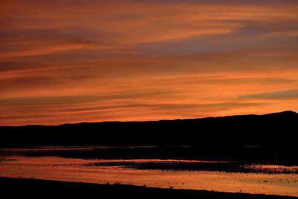 Sunset over Bosque Del Apache National Wildlife Refuge, New Mexico
