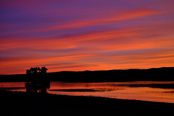 Sunset over Bosque Del Apache National Wildlife Refuge, New Mexico