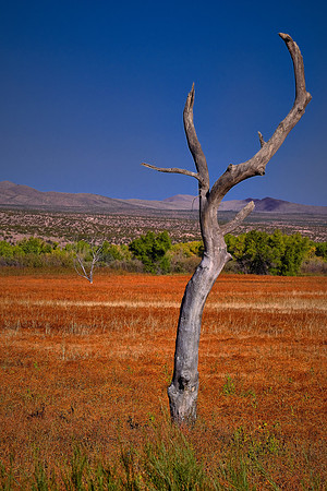 On the road to White Sands National Monument, New Mexico