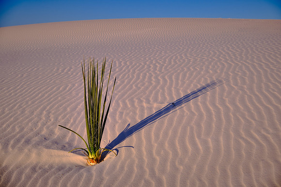 Sunrise over White Sands National Monument, New Mexico