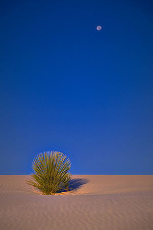 Sunrise over White Sands National Monument, New Mexico