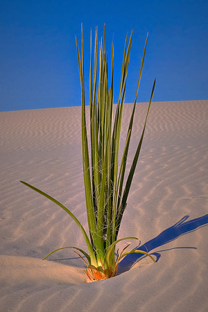 Sunrise over White Sands National Monument, New Mexico