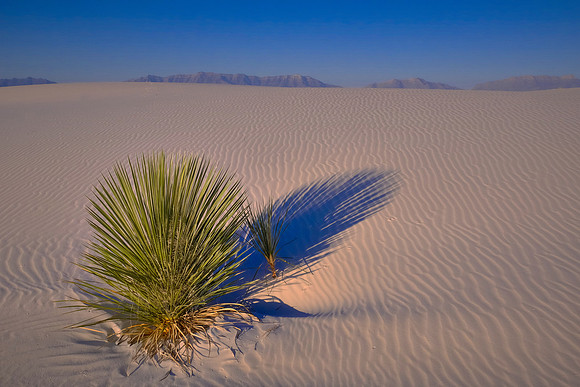 Sunrise over White Sands National Monument, New Mexico