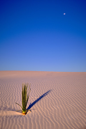 Sunrise over White Sands National Monument, New Mexico