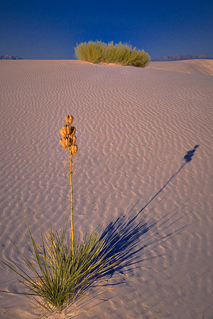 Sunrise over White Sands National Monument, New Mexico