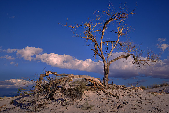 Sunset over White Sands National Monument, New Mexico