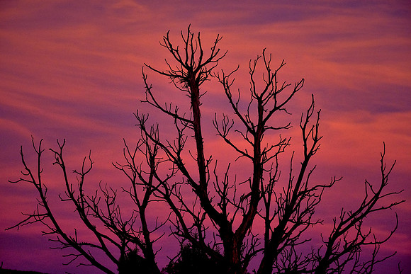Sunset over Canyons of the Ancients National Monument, Colorado.